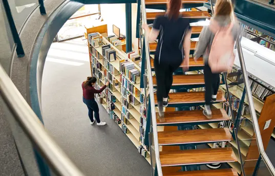 Photo of two people walking up stairs in a library.