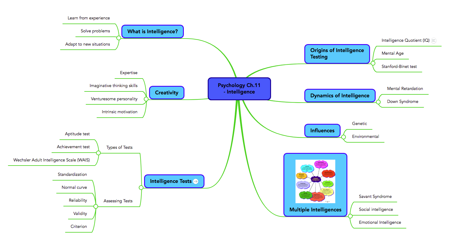 A mindmap on the area of intelligence