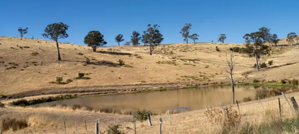 A dam in a drying landscape, with a farm fence in the foreground