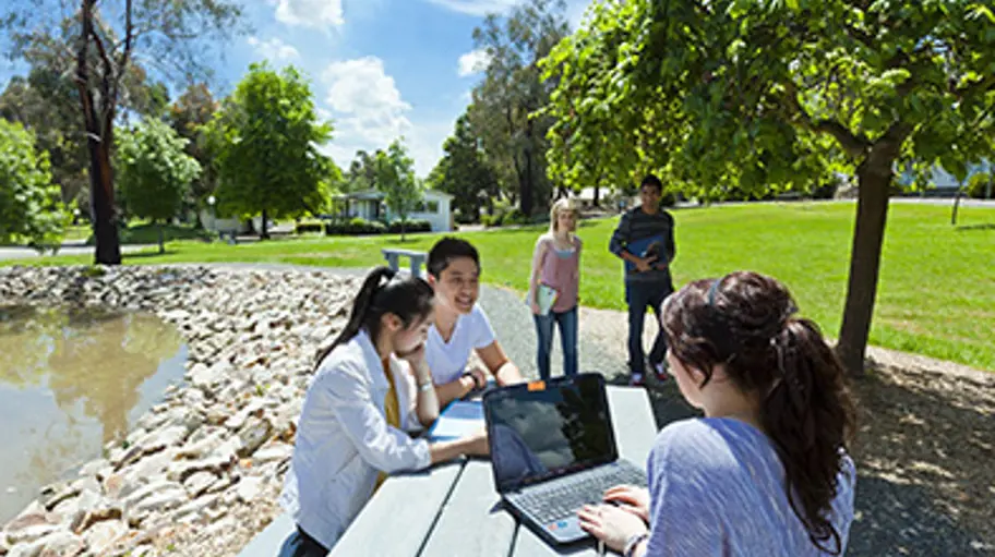 Group of students sitting outside campus