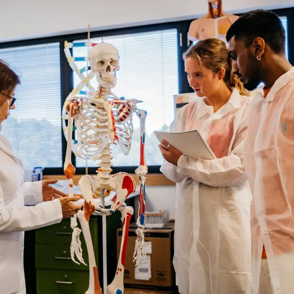 A teacher and two students wearing lab coats look at a skeleton model.