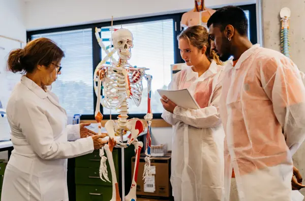 A teacher and two students wearing lab coats look at a skeleton model.