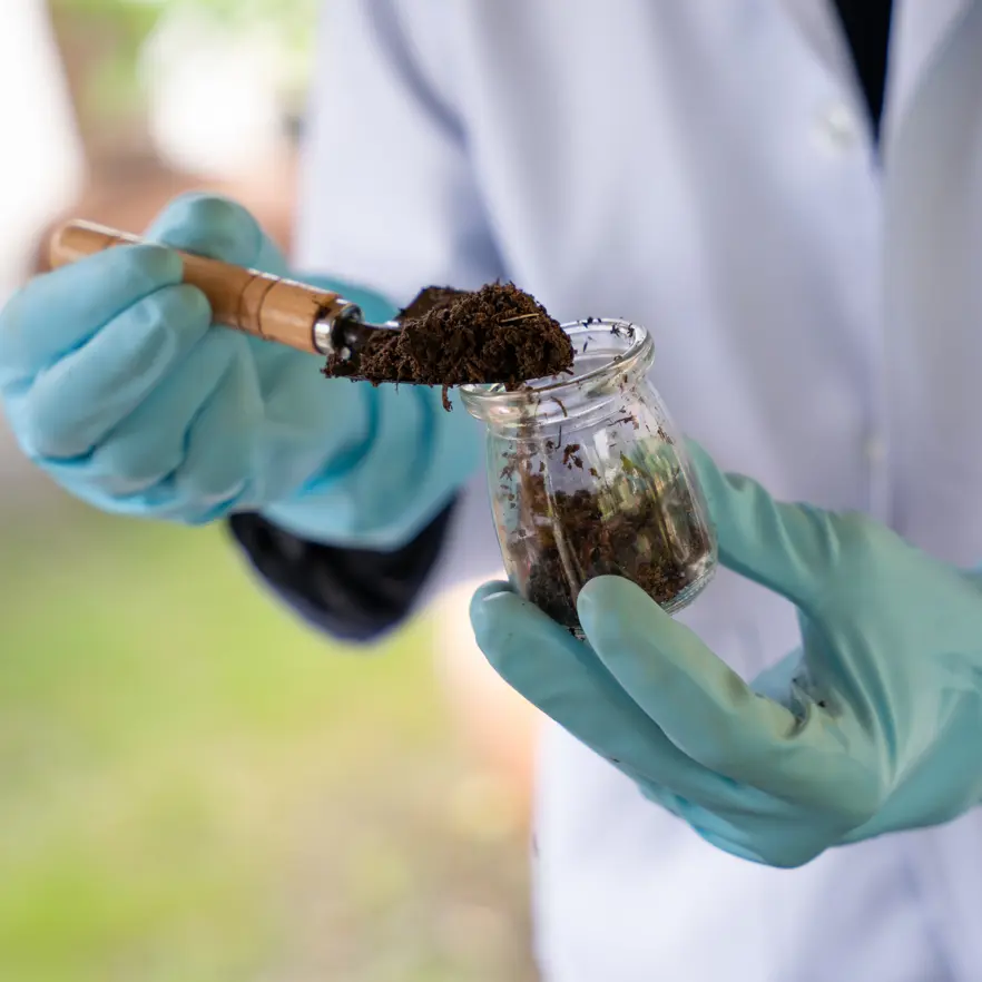 Bachelor of Science | Federation University